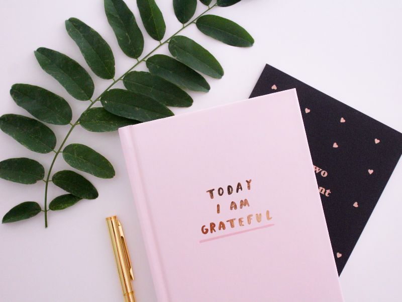 Read more about the article Vivid Prints